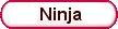 * SHINOBI